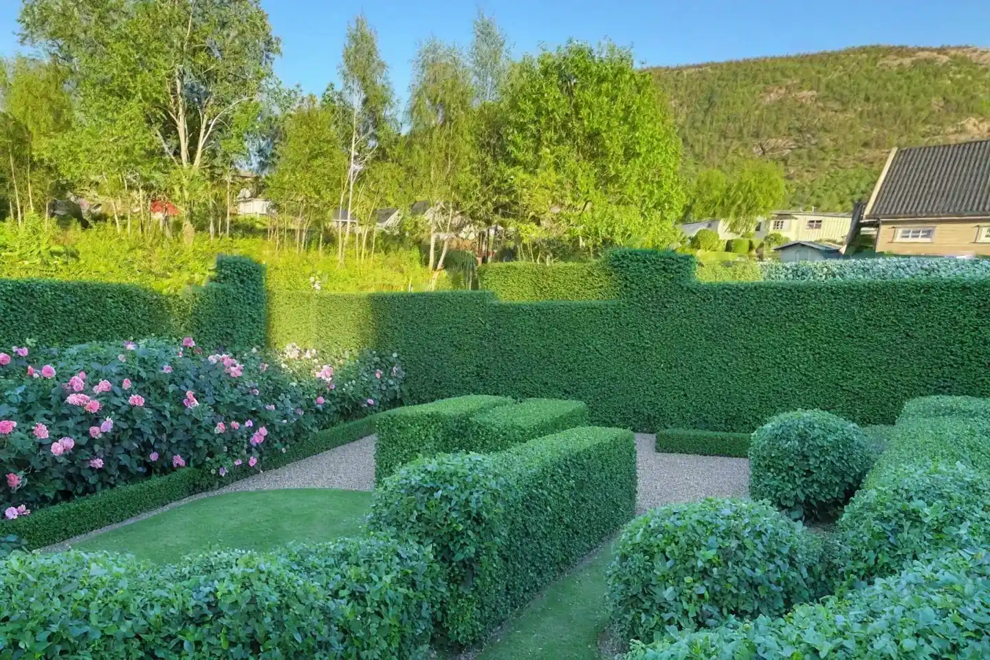 AI yard design with structured hedges