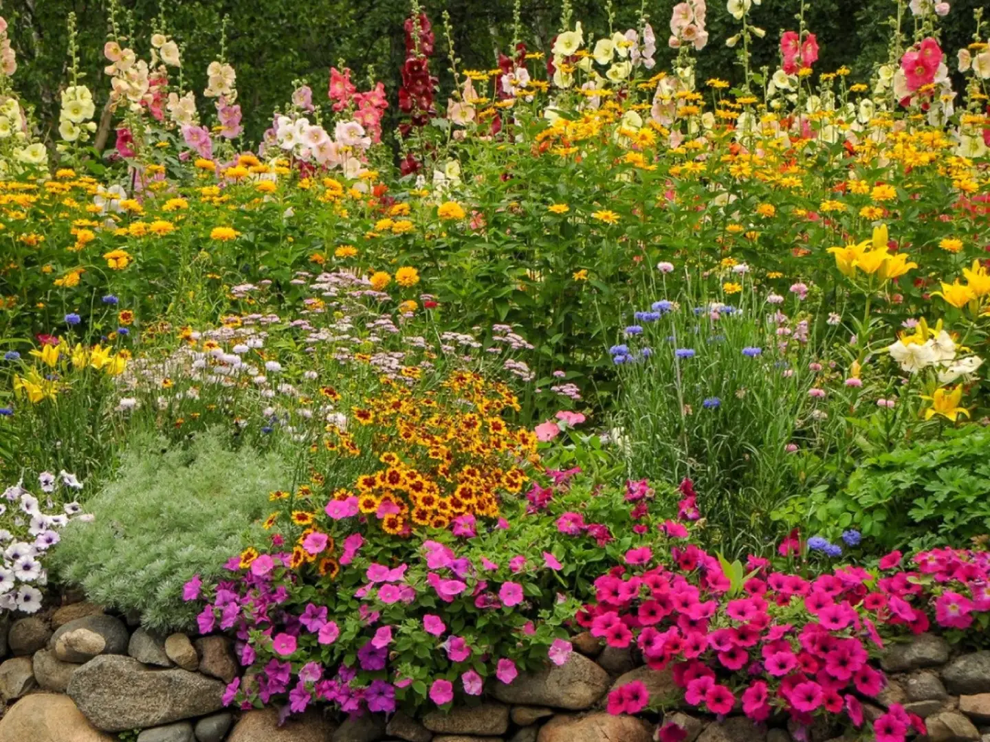 Flowerbed full of blooming plants