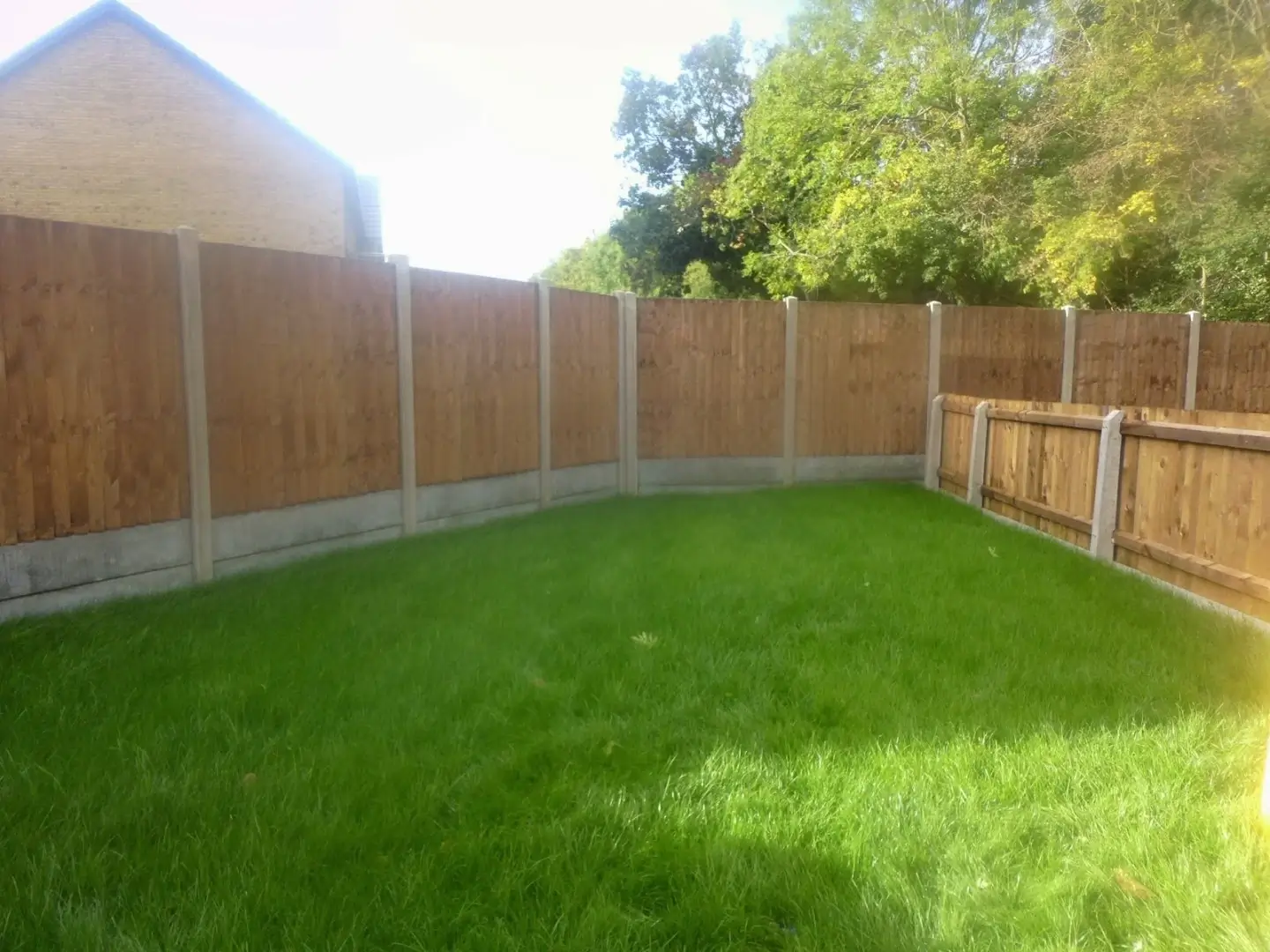 Garden before redesign