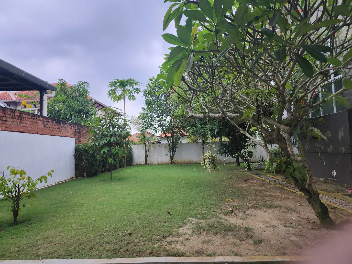 Garden before redesign
