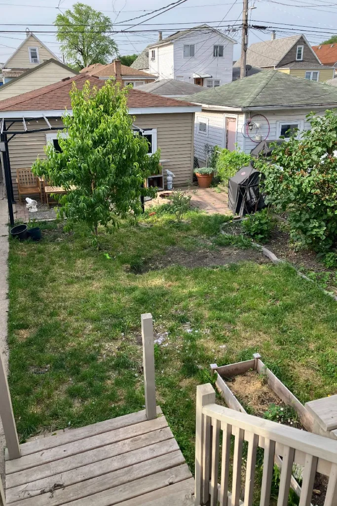 Garden before redesign