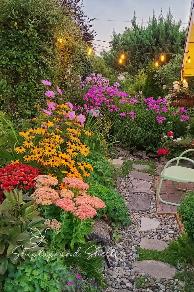 Blooming flowers enlighten the garden