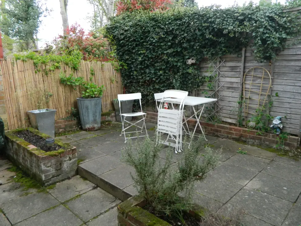 A garden before Rescape AI. A garden without a clear style or direction.