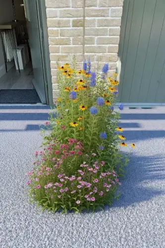 AI Generated Designs A tiny patch of dirt can be made something quite beautiful with AI design.